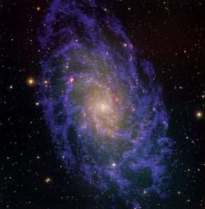 Image of a Triangulum Galaxy