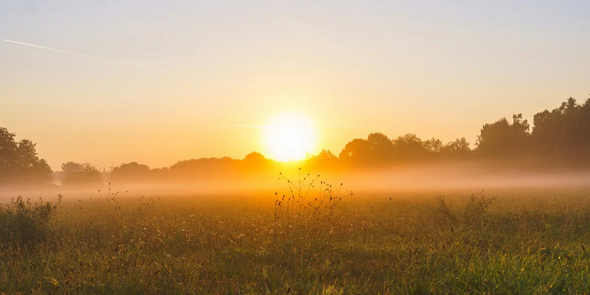 Sun vs Star: A Personal Journey Through the Universe’s Brightest Beacons